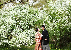 แพ็คเกจถ่ายภาพด้วยชุดแต่งงานสากล + ชุดแบบญี่ปุ่น + ชุดลำลอง