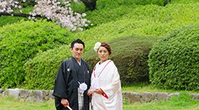 สวนไมซุร