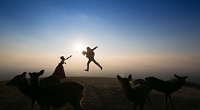 ยอดเขา Wakakusayama